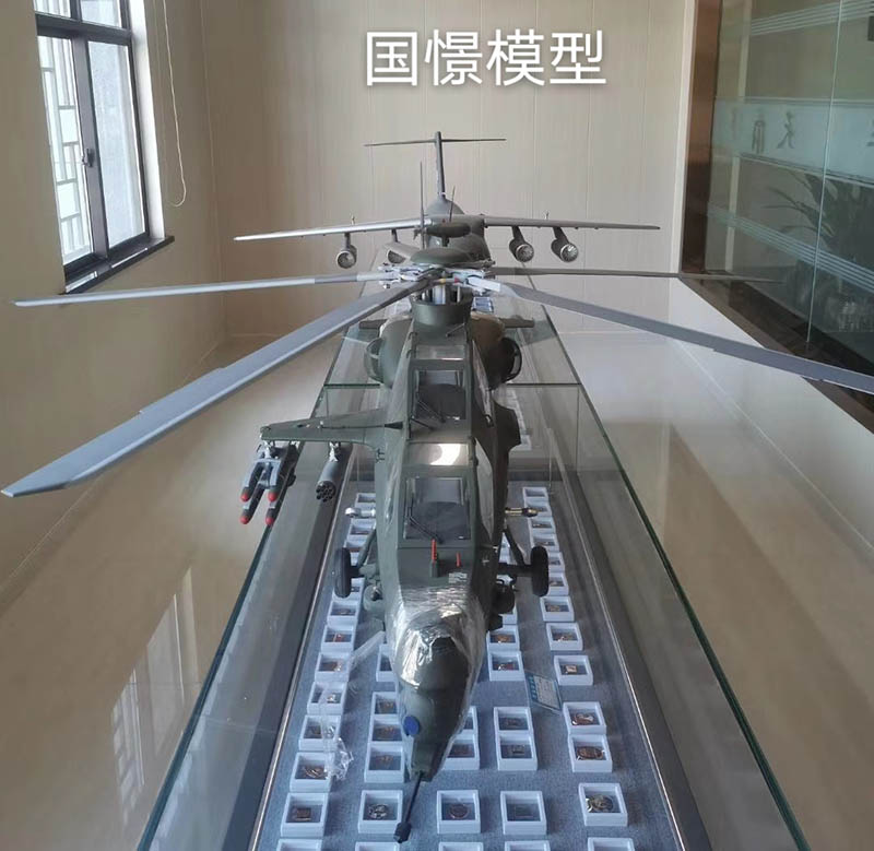 阳城县飞机模型