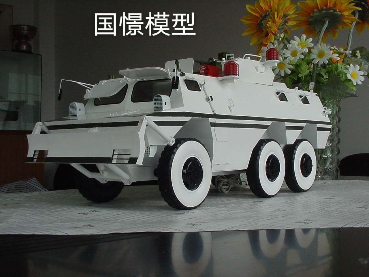 阳城县军事模型